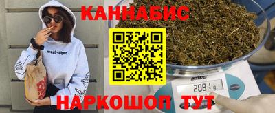 гидра Славгород