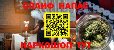 гидра Славгород