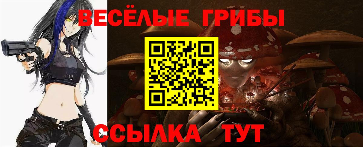 Псилоцибиновые грибы прущие грибы Новый Уренгой