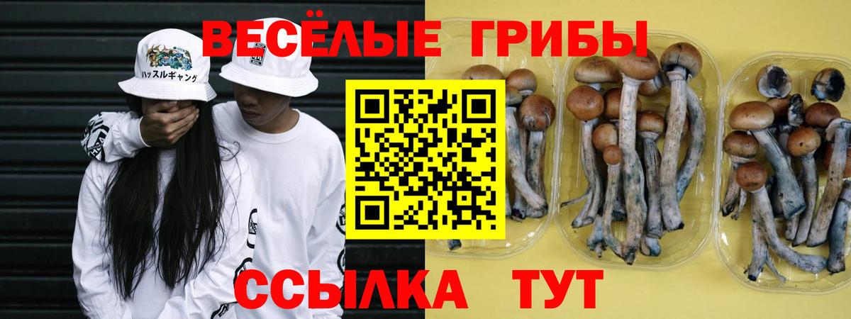 Новый Уренгой  Галлюциногенные грибы MAGIC MUSHROOMS  где купить наркоту  Вход с VPN 
